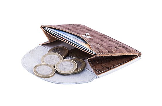 Dixtinta-coin-wallet