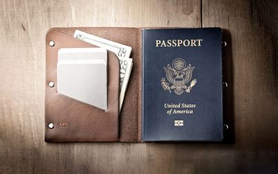 Mr. Lentz Passport Wallet Review