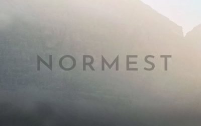 Normest Store Review – Yes, It’s a Scam