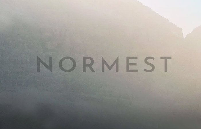 Normest-Store-Review